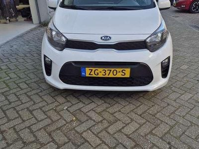 Wit Occasion 2019 Kia Picanto Hatchback | € 7.700 (Eerlijke prijs)