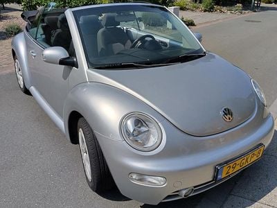 VW Beetle