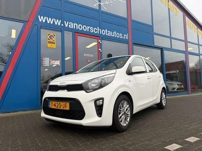 Wit Gebruikt 2023 Kia Picanto Hatchback | € 12.900 (Eerlijke prijs)