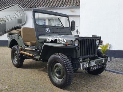tweedehands Jeep Willys WILLYM38 24V 1952 Te Koop