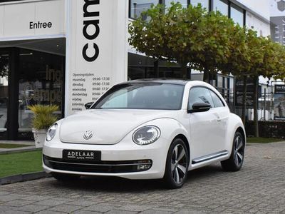 VW Beetle