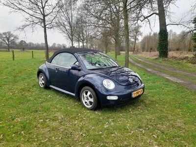 VW Beetle