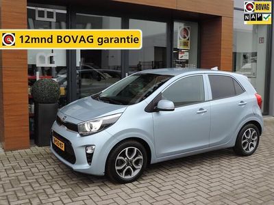 Blauw Occasion 2020 Kia Picanto Hatchback | € 12.490 (Eerlijke prijs)