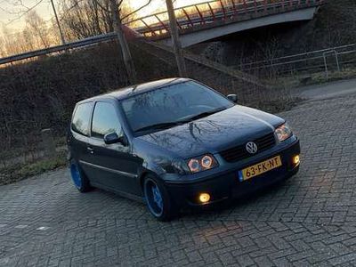 VW Polo