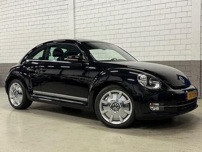 VW Beetle