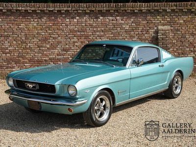 tweedehands Ford Mustang Fastback 289 Pony-interior, Rally-Pac, 5-speed Tremec-gearbox, Wilwood-brakesystem, full-length console.