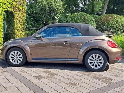 VW Beetle