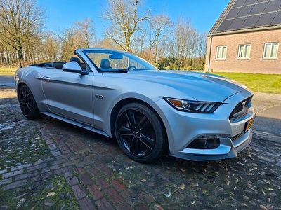 Occasion Ford Mustang 422 PK (310 kW) 2016