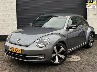VW Beetle