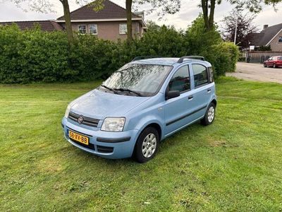 tweedehands Fiat Panda 1.2 5 drs ed cool