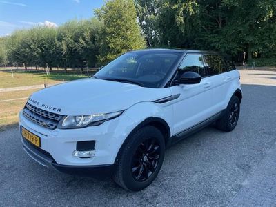 Wit Occasion 2014 Land Rover Range Rover evoque Pure SUV | € 16.894 (Duur)