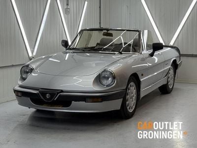 Grijs Gebruikt 1986 Alfa Romeo Spider Quadrifoglio Verde Cabriolet | € 12.990