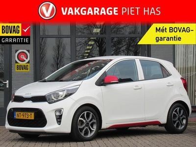 Occasion Kia Picanto First Edition 67 PK (49 kW) 2017 Wit Hatchback