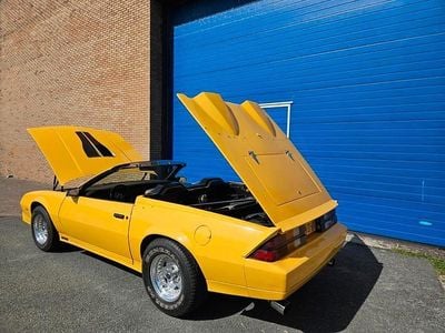 Gebruikt 1984 Chevrolet Camaro Cabriolet | € 24.500