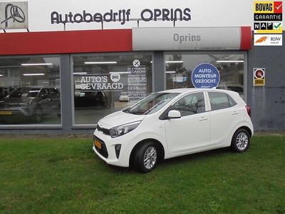 Wit Occasion 2023 Kia Picanto Hatchback | € 13.949 (Eerlijke prijs)
