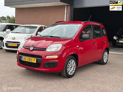 Rood Gebruikt 2012 Fiat Panda Hatchback | € 2.995 (Eerlijke prijs)