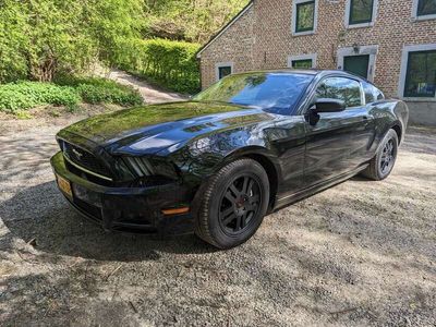 tweedehands Ford Mustang 3.7 V6 309 pk 2014