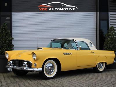 Occasion Ford Thunderbird Convertible 196 PK (144 kW) 1955 Cabriolet