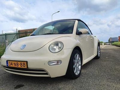 VW Beetle
