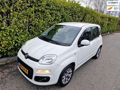 Occasion Fiat Panda Lounge 69 PK (50 kW) 2020 Wit (metallic) Hatchback