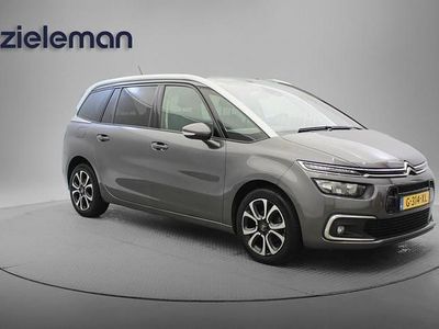 Grijs Gebruikt 2020 Citroën C4 SpaceTourer Business Class MPV | € 11.645 (Goede deal)