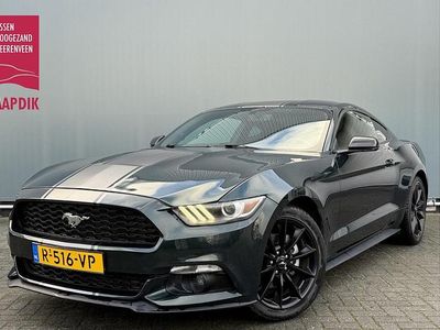 Groen Occasion 2018 Ford Mustang Fastback Coupé | € 32.899 (Eerlijke prijs)