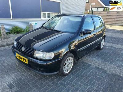 VW Polo