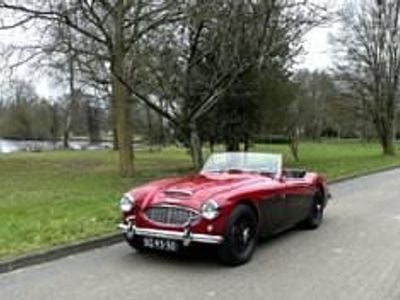 Occasion Austin Healey 100/6 150 PK (110 kW) 1959 Roodcolorado Cabriolet