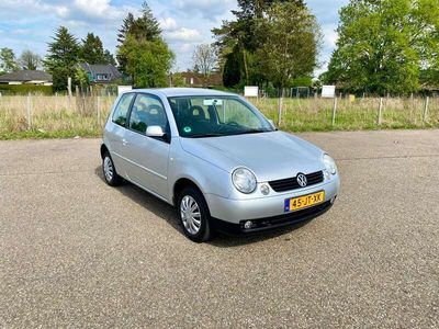 tweedehands VW Lupo AUTOMAAT 1.4-16V (APK NAP AIRCO)