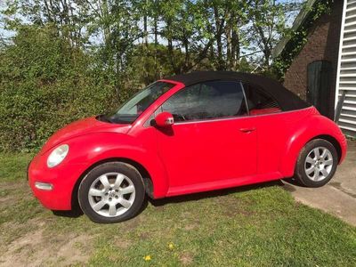 VW Beetle