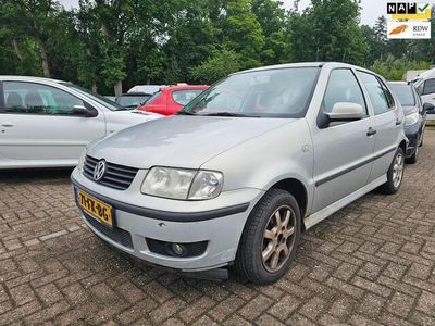 VW Polo