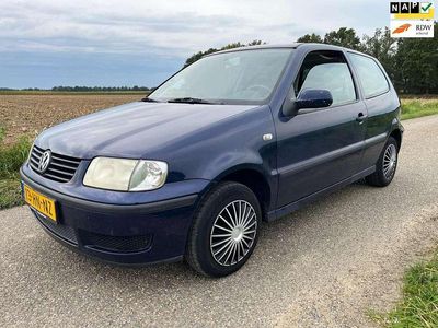 VW Polo