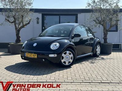 VW Beetle