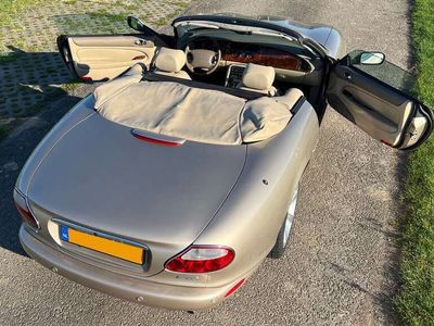 Jaguar XK8