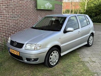 VW Polo