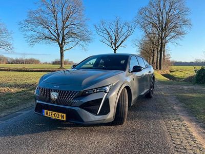 Occasion 2024 Peugeot 408 GT GTi | € 26.500