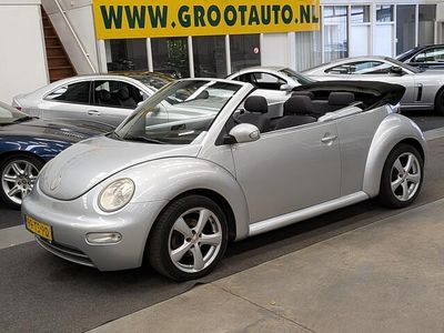 VW Beetle