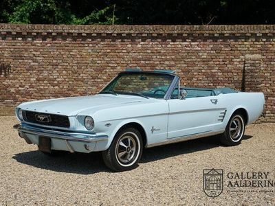tweedehands Ford Mustang 289 Convertible manual gearbox, rally-pack, elec. soft-top