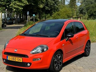 Occasion Fiat Punto 100 PK (73 kW) 2014 Hatchback