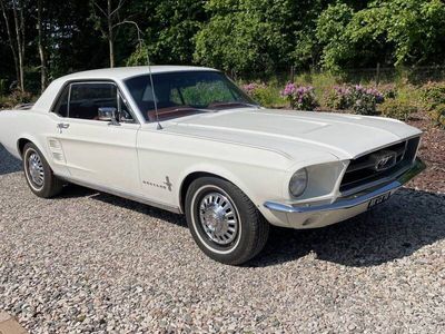 tweedehands Ford Mustang 289