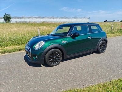 Groen Gebruikt 2014 Mini Cooper Hatchback | € 6.750