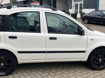 Occasion Fiat Panda Active 60 PK (44 kW) 2009 Wit Hatchback