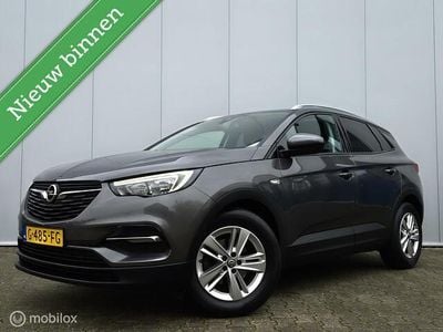 Grijs Occasion 2019 Opel Grandland X Business SUV | € 11.940 (Eerlijke prijs)