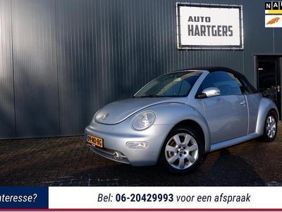 Occasion VW New Beetle 116 PK (85 kW) 2003 Hatchback