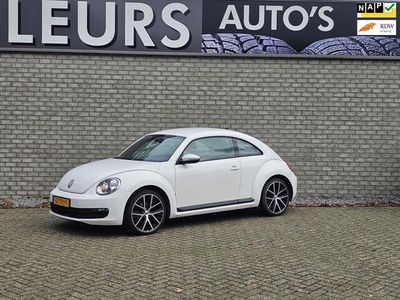 VW Beetle