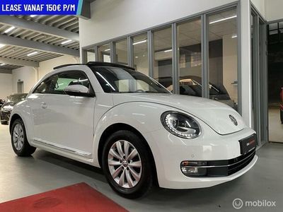 VW Beetle