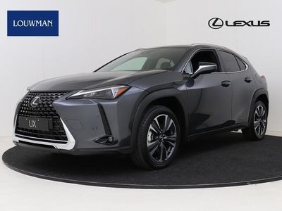 tweedehands Lexus UX 250h Business Line | Safety System | Apple Carplay & Android Auto | Parkeersensoren |