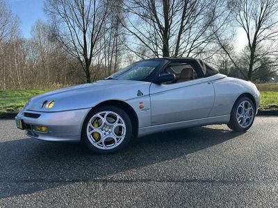 Alfa Romeo Spider