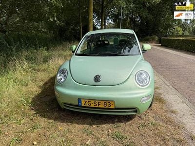 VW Beetle