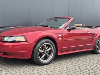 Cabriolet Gebruikt 2004 Ford Mustang Convertible Cabriolet | € 6.750